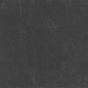S1205